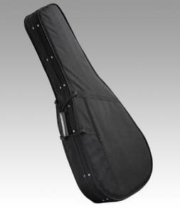 Guitar Form Case ( BSL )