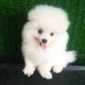Winnie Wenn avatar