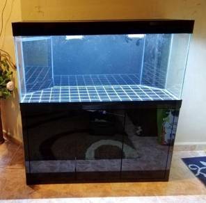 Aquarium Full Set Almost Anything For Sale In Malaysia Mudah My