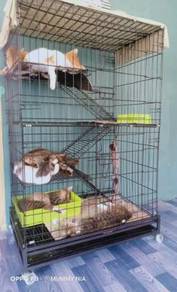 Sangkar kucing - Almost anything for sale in Malaysia - Mudah.my