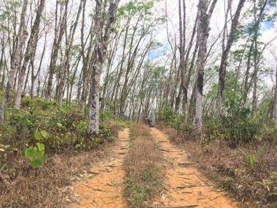Freehold Agriculture Land For Sale At Slim River,Ulu Behrang,Perak