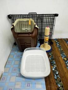 Sangkar kucing - Pets for sale in Malaysia - Mudah.my