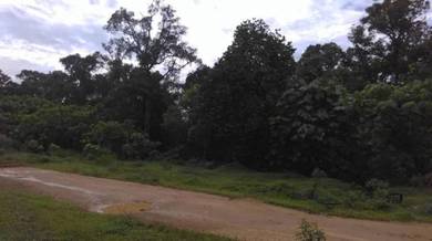 Tanah Dusun 6 Ekar Batang Kali FREEHOLD Selangor