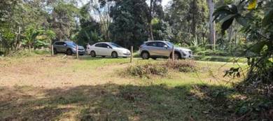 Agricultural-Land-for-sale-Balik-Pulau-Penang