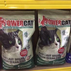 Cat - Almost anything for sale in Malaysia - Mudah.my