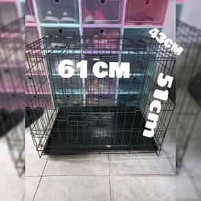 Cat 2 - Pets for sale in Malaysia - Mudah.my Mobile