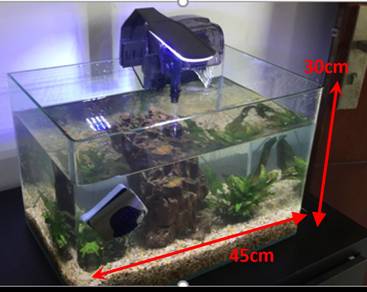 770 Dekorasi Aquarium Filter Samping HD Terbaru