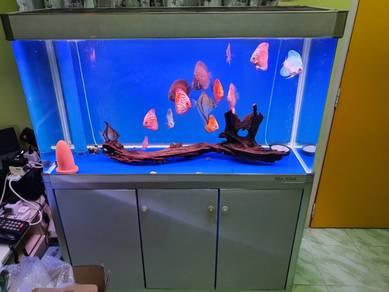 Aquarium Almost Anything For Sale In Malaysia Mudah My