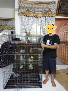 Sangkar kucing 3 tingkat - Pets for sale in Malaysia - Mudah.my