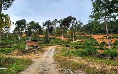 Agricultural-Land-for-sale-Sungai-Siput-Perak