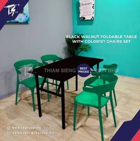 Foldable Dining Table 60x120cm and Colorist Chair