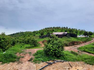 Agricultural-Land-for-sale-Jelebu-Negeri-Sembilan-1