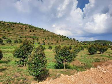 Agricultural-Land-for-sale-Jelebu-Negeri-Sembilan-2