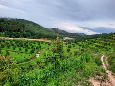 Agricultural-Land-for-sale-Jelebu-Negeri-Sembilan-3