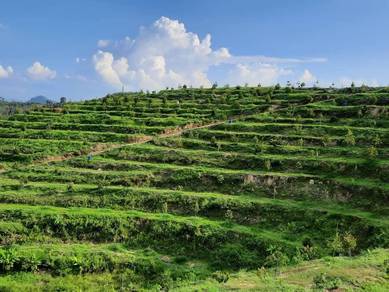 Agricultural-Land-for-sale-Jelebu-Negeri-Sembilan