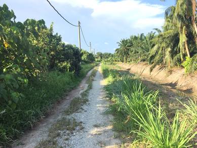 Agricultural-Land-for-sale-Telok-Panglima-Garang-Selangor