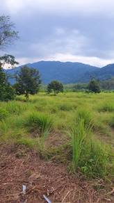 Broga agricultural land freehold 680k per acres semenyih
