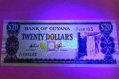 Guyana 20 Dollars (2018)