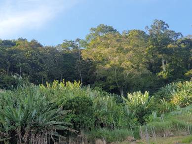 Tanah Pertanian Bukit Tinggi, Bentong Pahang Geran Individu