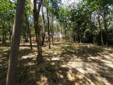 2.15 Acre Non Bumi Lot Agri Land Batang Kali, Hulu Selangor