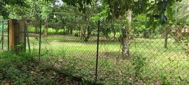 Tanah 3 ekar Pertanian di Ulu Yam utk di Jual
