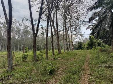 Agricultural-Land-for-sale-Sungai-Siput-Perak