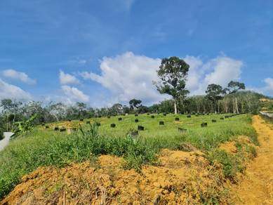 [FREEHOLD] Agricultural Land, Pekan Manchis, Pahang