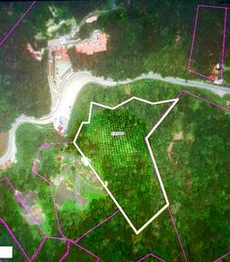 KUNDASANG LAND. Opposite KINABALU PARK Headquarters. NEXT TO MAIN ROAD