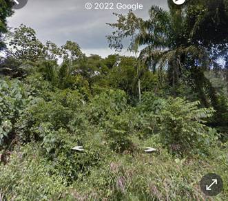 Freehold 9 acres + Agriculture land at Sg Siput Perak