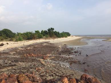 Freehold Sea Side Land For Sale in Tanjung Sepat,Sepang,Selangor