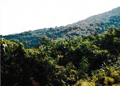Kionsom Land (CL)