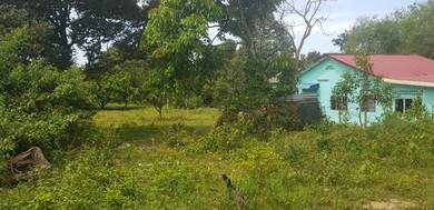 Agricultural-Land-for-sale-Labu-Negeri-Sembilan