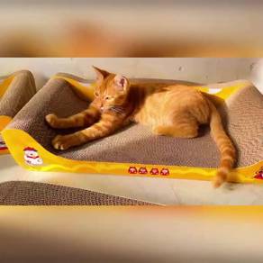 Cats Sofa Corrugated Scratch Cardboard 50cm