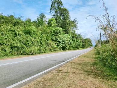 Dusun Durian dan Dokong, tanah tepi jalan di Jeniang, Kedah. Malay Lot