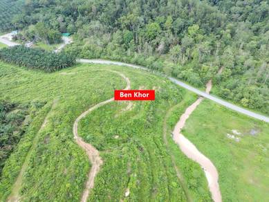Agricultural-Land-for-sale-Karangan-Kedah
