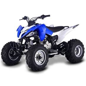 TOP 1 SALE ATV 250cc PENTORA COD penang