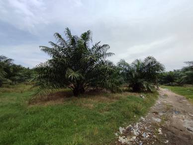 Nice!! Nice!! Jenjarom 4.512 acres agricultural land zoned residential