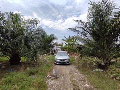 Nice!! Nice!! Jenjarom 4.512 acres agricultural land zoned residential