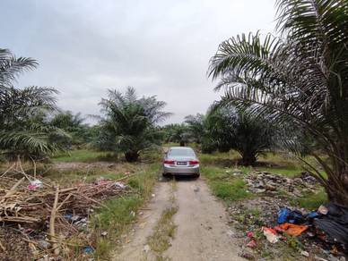 Nice!! Nice!! Jenjarom 4.512 acres agricultural land zoned residential
