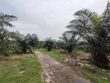 Nice!! Nice!! Jenjarom 4.512 acres agricultural land zoned residential