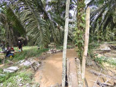 65 acres Oil Palm Close to Main Road Kota Tinggi