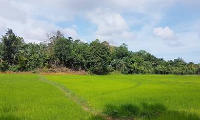 Teluk panglima garang batu 10 kawasan perindustrian industrial land