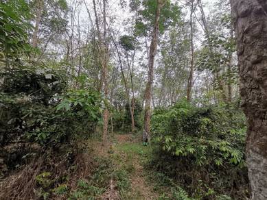 Agricultural-Land-for-sale-Slim-River-Perak