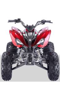 NEW PENTORA 250cc Hot cod Malaysia pahang