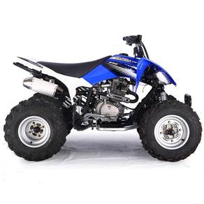 NEW PENTORA 250cc Hot cod Malaysia pahang
