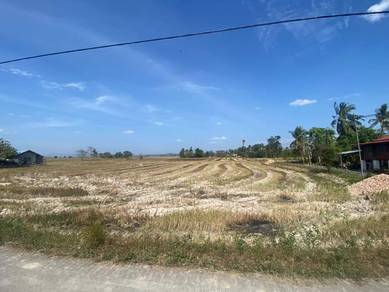 Agricultural-Land-for-sale-Alor-Setar-Kedah