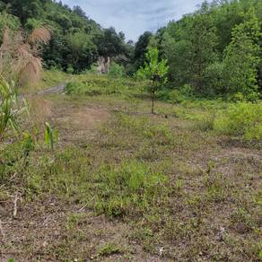 Agricultural-Land-for-sale-Selayang-Selangor