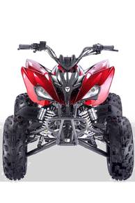 PENTORA 250cc cod in Malaysia 《perak》new