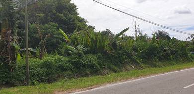 Agricultural-Land-for-rent-Beaufort-Sabah