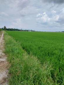 LOKASI STRATEGIK!!! Tanah Sawah Parit 9, Sungai Besar, Selangor